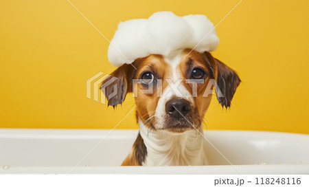 Funny dog taking bath with soap suds on head 118248116