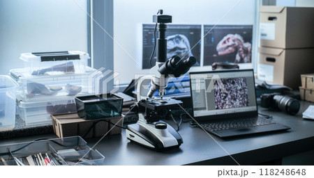 Microscope for fossil analysis and laptop in archaeological laboratory Microscope for fossil analysis and laptop in archaeological laboratory 118248648