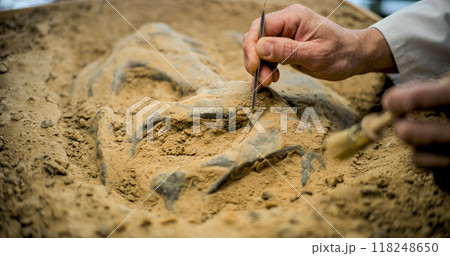 Archaeologist works with fossil remains in archaeological lab 118248650