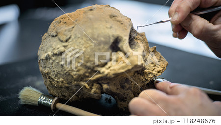 Close up of archaeologist cleaning skull in archaeological laboratory 118248676