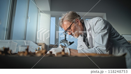 Mature scientist works with specimen collection of fossil remains Mature scientist works with specimen collection of fossil remains 118248753