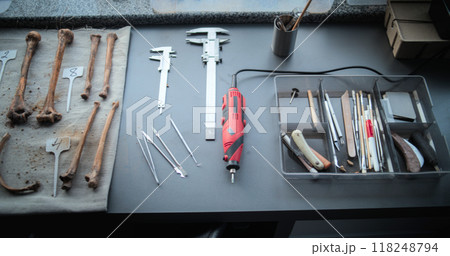 Workspace in advanced archaeological science lab Workspace in advanced archaeological science lab 118248794