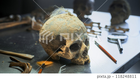 Archaeological laboratory: Fossil skull of prehistoric human 118248811