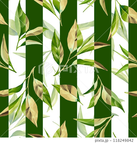 Seamless pattern with green tea leaves. Floral striped background 118249842