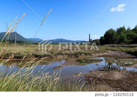 Wetlands of Mundakako Itsasadarra Delta, Basque Country Wetlands of Mundakako Itsasadarra Delta, Basque Country 118250118