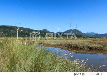 Wetlands of Mundakako Itsasadarra Delta, Basque Country 118250119