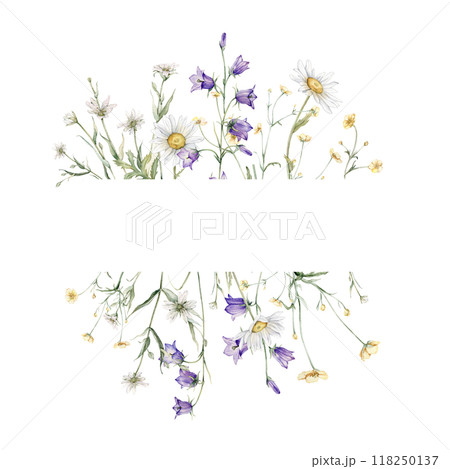 Watercolor frame of yellow buttercup and white little flower and violet bluebell. Watercolor hand painting illustration on isolate. Bouquet meadow flowers for invitation. Botanical summer wildflower. 118250137