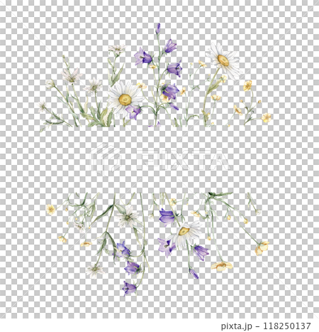 Watercolor frame of yellow buttercup and white little flower and violet bluebell. Watercolor hand painting illustration on isolate. Bouquet meadow flowers for invitation. Botanical summer wildflower. 118250137