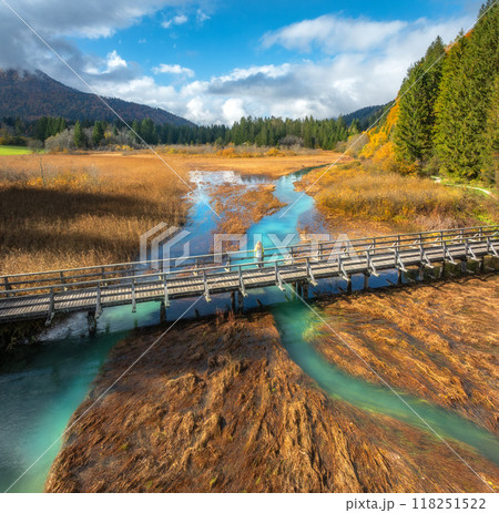 Aerial view of woman on wooden bridge, river and orange grass 118251522