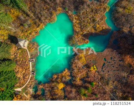 Aerial view of azure lake, mountain, orange forest in autumn 118251524