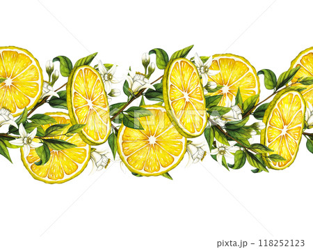 Horizontal Watercolor seamless pattern with lemon tree branches and white flowers. Hand drawn botanical illustration of yellow citrus fruits. Clipart objects for design, decoration, package, cards Horizontal Watercolor seamless pattern with lemon tree branches and white flowers. Hand drawn botanical illustration of yellow citrus fruits. Clipart objects for design, decoration, package, cards 118252123