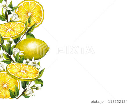 Watercolor frame with lemon tree branches and white flowers. Hand drawn botanical illustration of yellow citrus fruits. Clipart objects for design and decoration, package, cards Watercolor frame with lemon tree branches and white flowers. Hand drawn botanical illustration of yellow citrus fruits. Clipart objects for design and decoration, package, cards 118252124