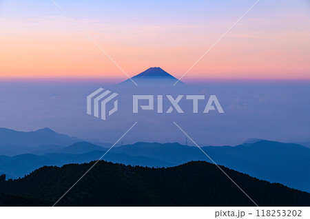 金峰山より望む朝焼けの富士山と大雲海 金峰山より望む朝焼けの富士山と大雲海 118253202