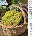 かごいっぱいのブドウ 118253499