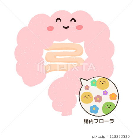 拡大した腸内フローラのイラスト 拡大した腸内フローラのイラスト 118253520