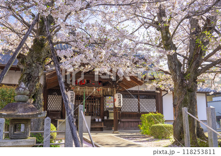 桜咲く法伝寺 (京都市左京区浄土寺真如町) 桜咲く法伝寺 (京都市左京区浄土寺真如町) 118253811