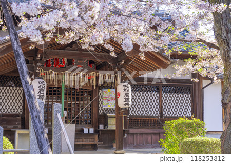 桜咲く法伝寺 (京都市左京区浄土寺真如町) 桜咲く法伝寺 (京都市左京区浄土寺真如町) 118253812