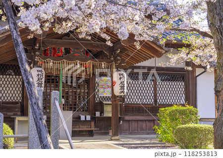 桜咲く法伝寺　(京都市左京区浄土寺真如町) 118253813