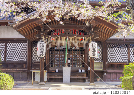 桜咲く法伝寺　(京都市左京区浄土寺真如町) 118253814