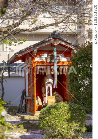 桜咲く法伝寺　(京都市左京区浄土寺真如町) 118253820