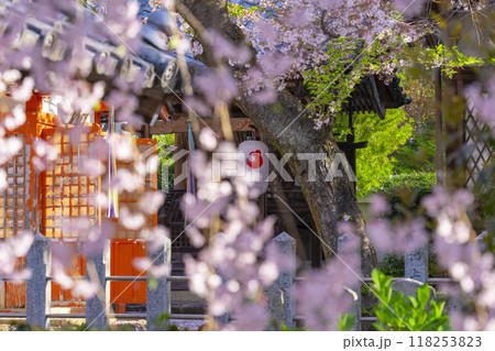 桜咲く法伝寺 (京都市左京区浄土寺真如町) 桜咲く法伝寺 (京都市左京区浄土寺真如町) 118253823
