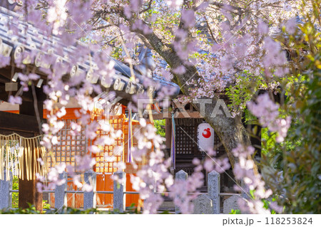 桜咲く法伝寺　(京都市左京区浄土寺真如町) 118253824