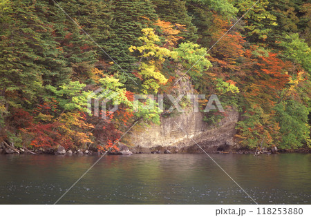 紅葉に染まる十和田湖の岸壁 118253880