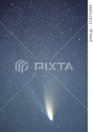 ヘールボップ彗星が夜空を飾る ヘールボップ彗星が夜空を飾る 118253893