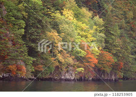 十和田湖岸の紅葉 十和田湖岸の紅葉 118253905