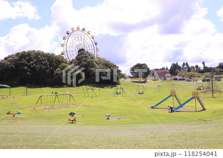 ドライブ日和、東京ドイツ村 118254041