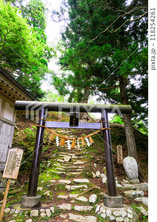 五十鈴神社鳥居(縦) 五十鈴神社鳥居(縦) 118254261