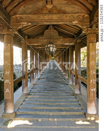 奈良・初瀬 長谷寺 登廊 仁王門~本堂 奈良・初瀬 長谷寺 登廊 仁王門~本堂 118254365