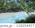 上高地　川　自然 118254457