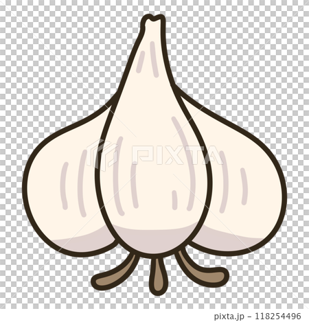 garlic  garlic  118254496