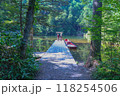 緑に囲まれた池の上にある神社 118254506