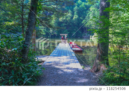 緑に囲まれた池の上にある神社 118254506