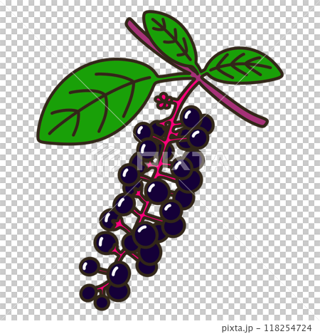 山區鄉房 118254724