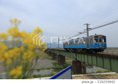 ローカル線・キハ54形気動車・車両名称キハ547と重信川橋梁 118254842