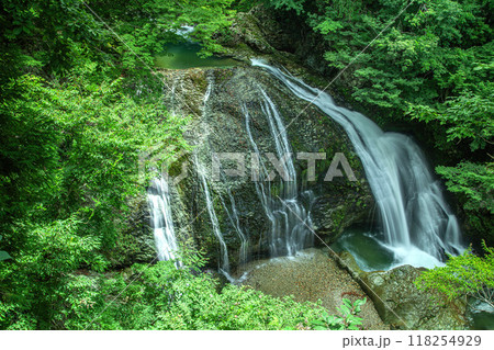 関山大滝 118254929