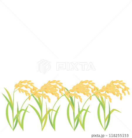 実った稲・稲穂のイラスト アスペクト比1:1バージョン 実った稲・稲穂のイラスト アスペクト比1:1バージョン 118255153