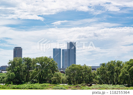 川崎市　多摩川越しに観る夏の新川崎駅のタワーマンション群の風景 118255364