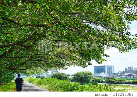 川崎市　多摩川越しに観る夏の新川崎駅のタワーマンション群の風景 118255365