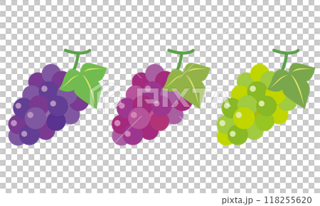ぶどう 巨峰 果物 種類 ぶどう 巨峰 果物 種類 118255620