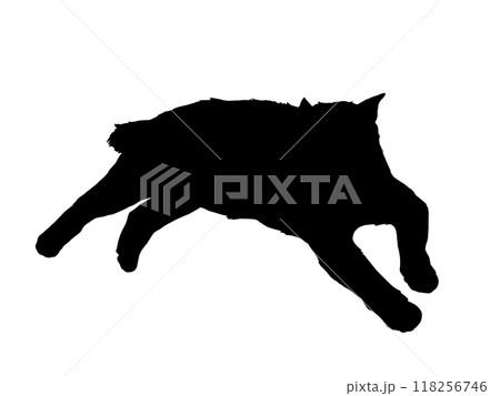 寝そべる猫のシルエットイラスト 118256746