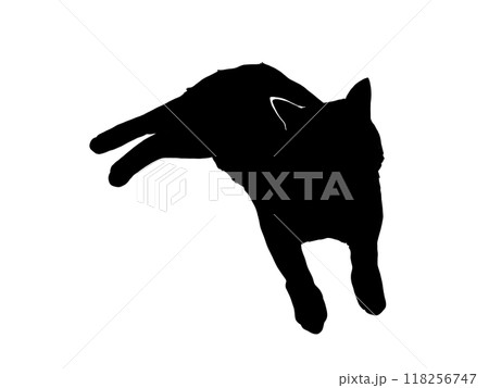 前を向いて寝そべる猫のシルエットイラスト 118256747