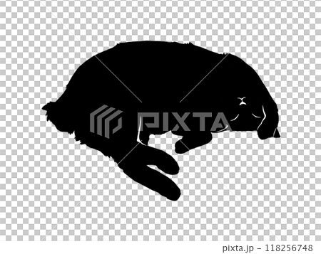 Lying cat silhouette illustration 118256748