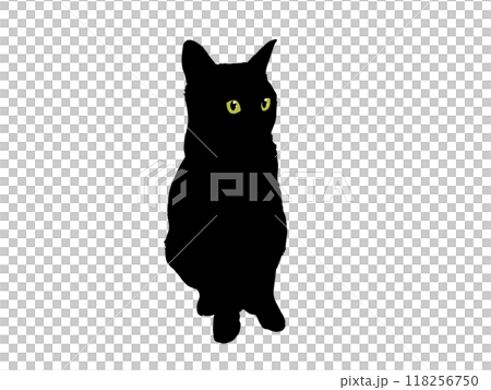 Silhouette illustration of a cat sitting diagonally facing forward (with eyes) Silhouette illustration of a cat sitting diagonally facing forward (with eyes) 118256750