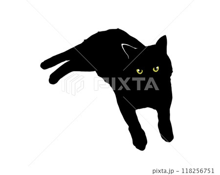 前を向いて寝そべる猫のシルエットイラスト(目あり) 前を向いて寝そべる猫のシルエットイラスト(目あり) 118256751