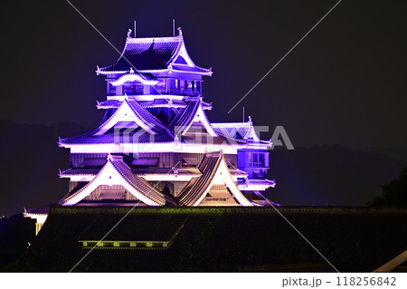 熊本城ライトアップ 熊本城ライトアップ 118256842