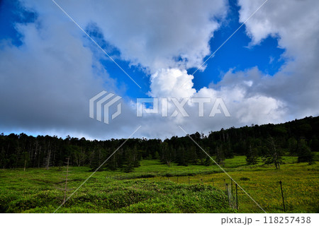 《長野県》国道299号メルヘン街道　八ヶ岳の風景 118257438
